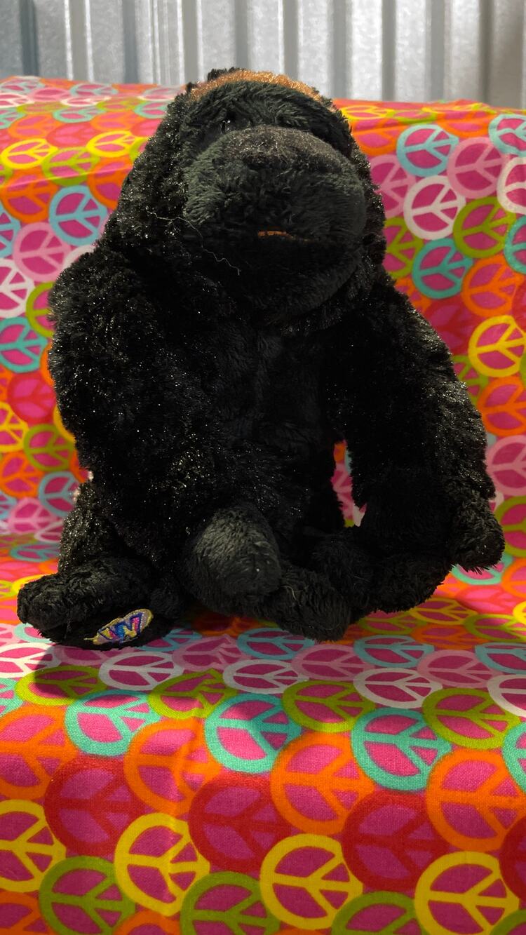 Silverback Black Gorilla HM335 No Code Webkinz Plush by Ganz